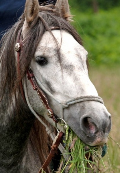 Photo de profil de hermes.youpi