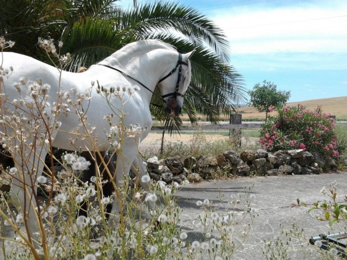 Photo de profil de stageandalou