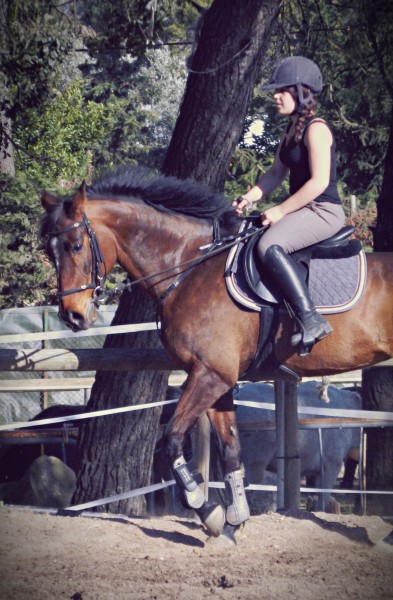 Photo de profil de kiss3567