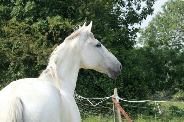 Photo de profil de titifrom62