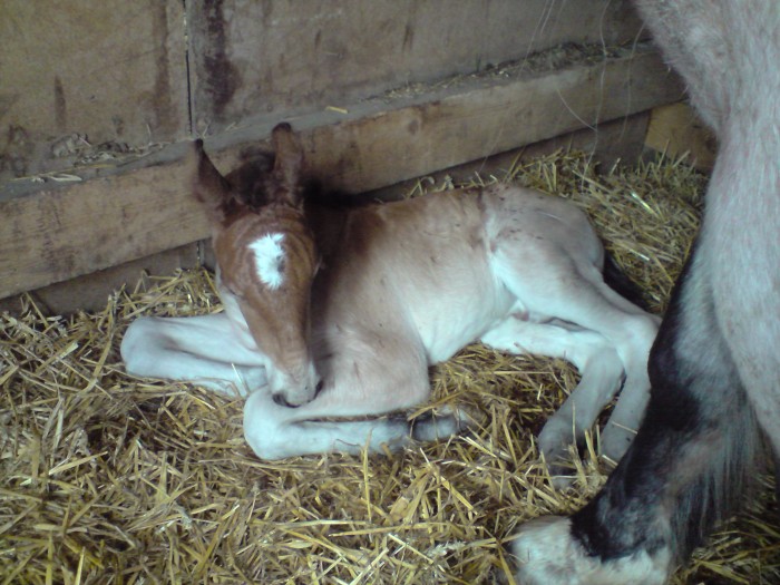 Photo de profil de vivi77290