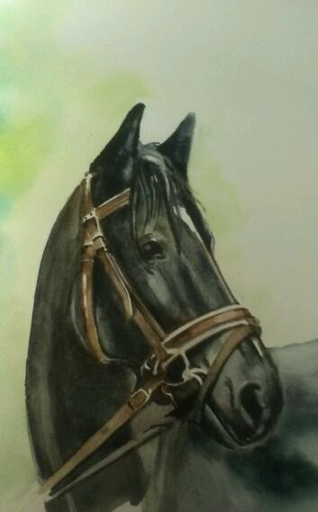 Photo de profil de jlcc