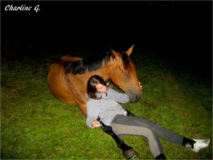 Photo de profil de chachou88