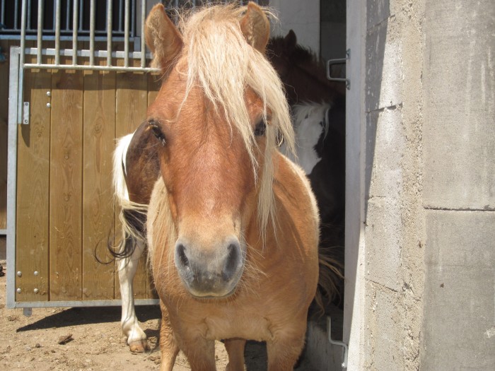 Photo de profil de ln42610