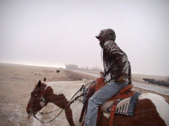 Photo de profil de annecanada