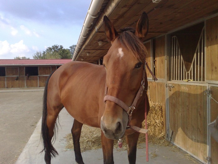 Photo de profil de kitine