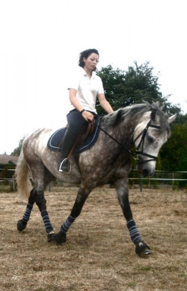 Photo de profil de olmedo75