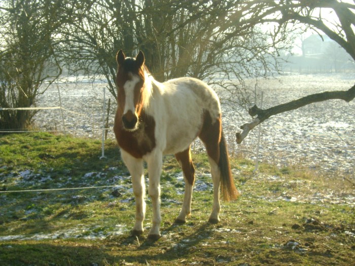 Photo de profil de daviejtm