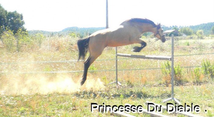 Photo de profil de princessedudiab