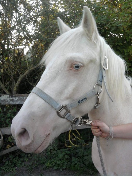 Photo de profil de susanaquoniam