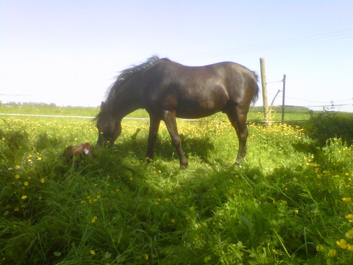 Photo de profil de hectorii