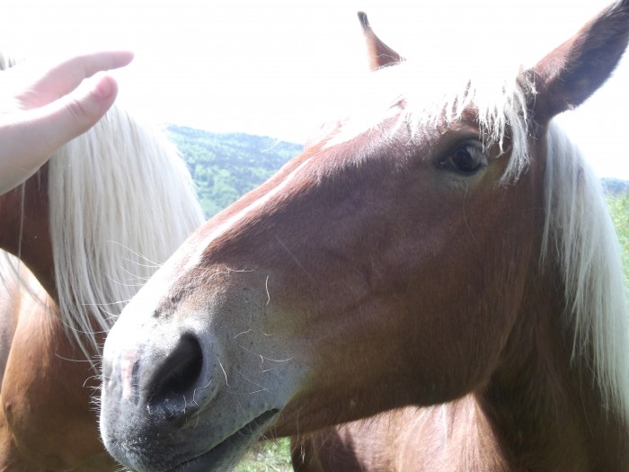 Photo de profil de bonjour73