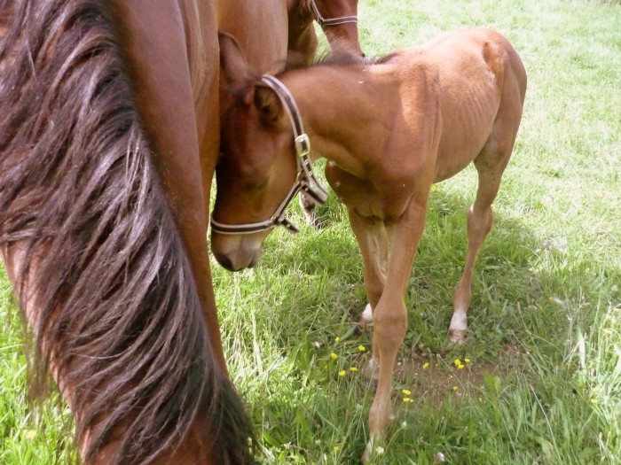 Photo de profil de julie130477