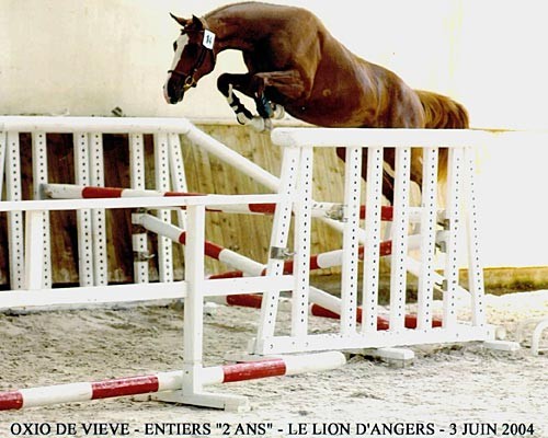 Photo de profil de farrier7