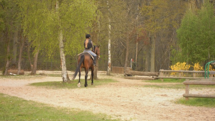 Photo de profil de hardy94