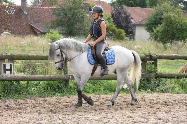 Photo de profil de andreaa