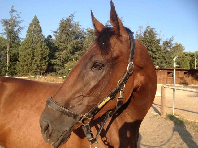 Photo de profil de patriciah