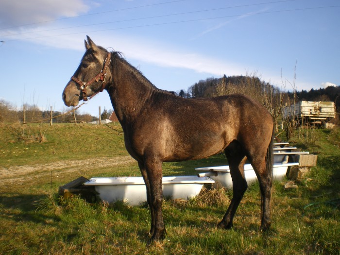 Photo de profil de opalia