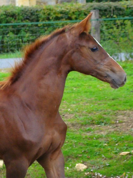 Photo de profil de chachiante