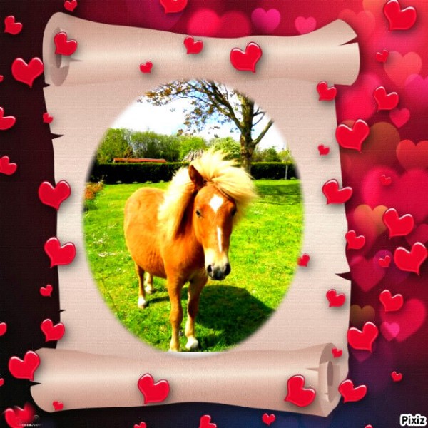Photo de profil de sandy14380