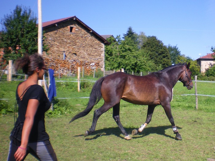 Photo de profil de alyssonpsa