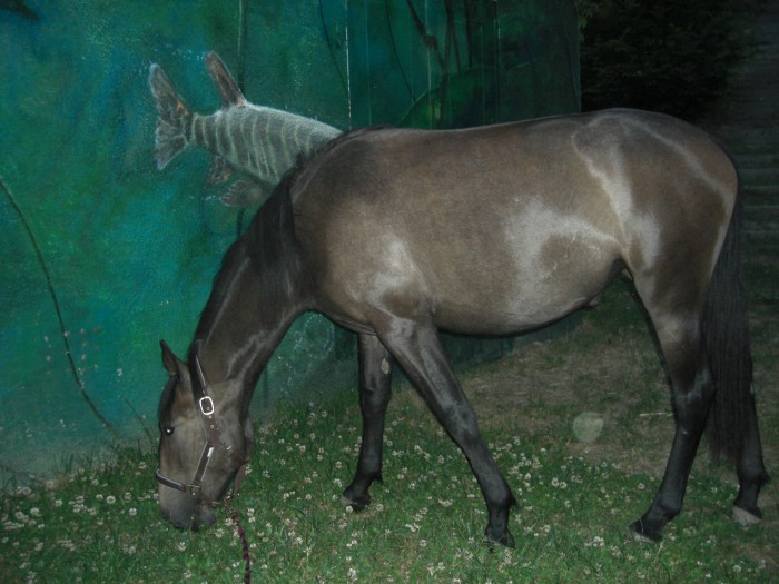 Photo de profil de kohgni