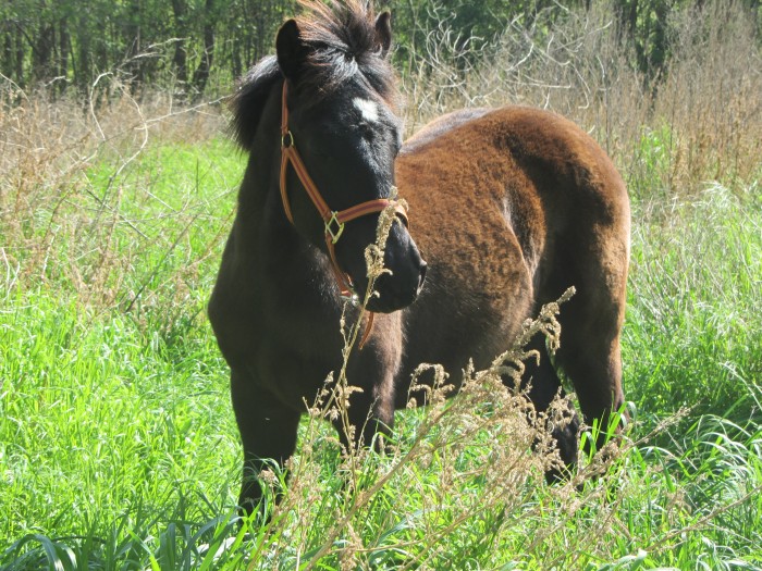 Photo de profil de tat84