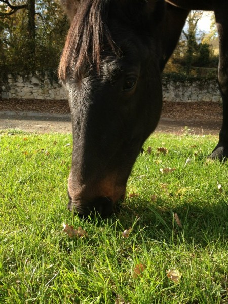 Photo de profil de topazee