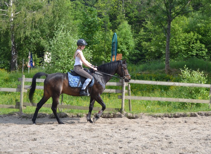 Photo de profil de ugosinai