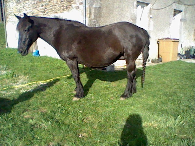 Photo de profil de fafa631