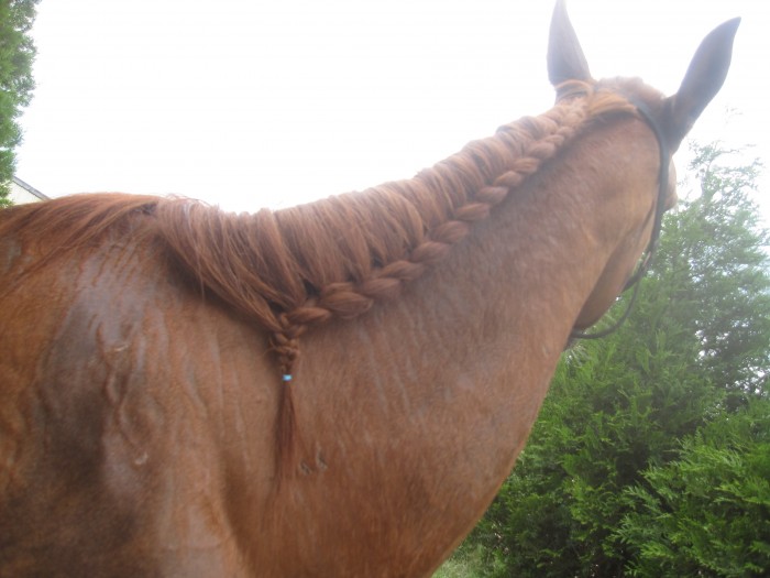 Photo de profil de lclsmarine