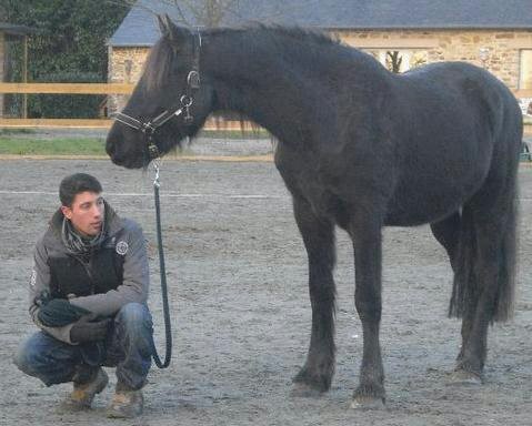 Photo de profil de asra35