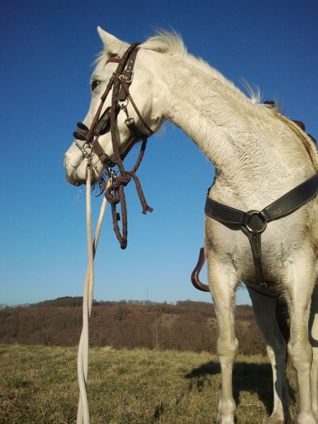 Photo de profil de jennyy