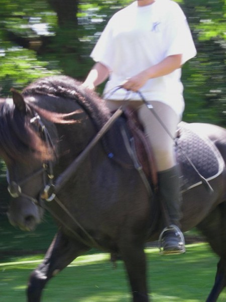 Photo de profil de laberlinoize