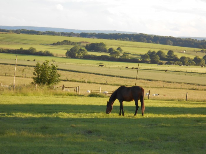 Photo de profil de loison