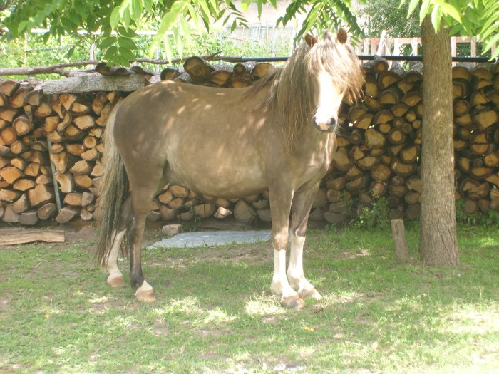 Photo de profil de gwena15