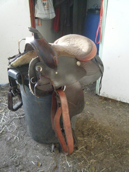 Photo de profil de bisous59123