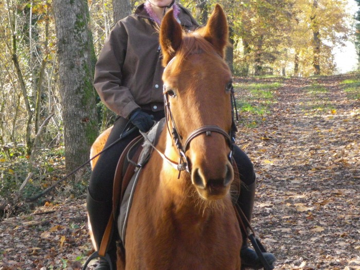 Photo de profil de manotte