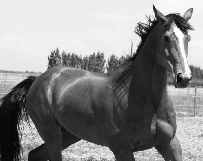 Photo de profil de sandydu30