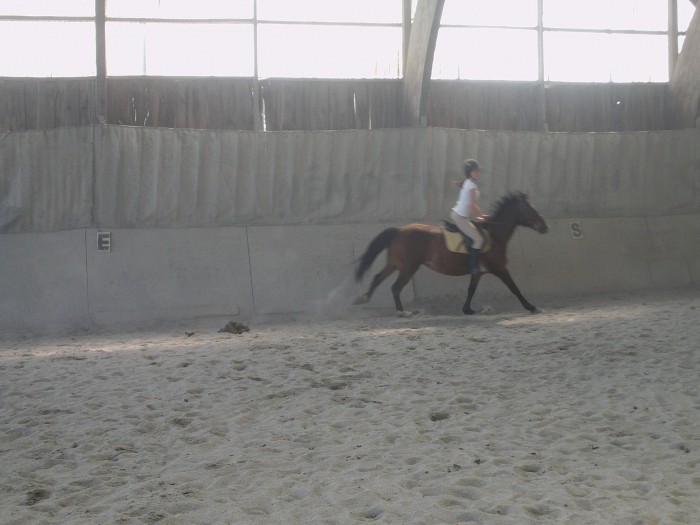 Photo de profil de ines78450