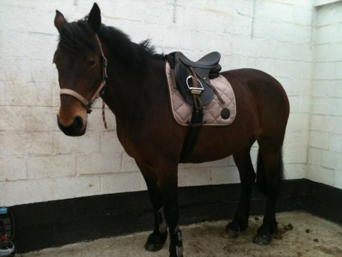 Photo de profil de fiora719