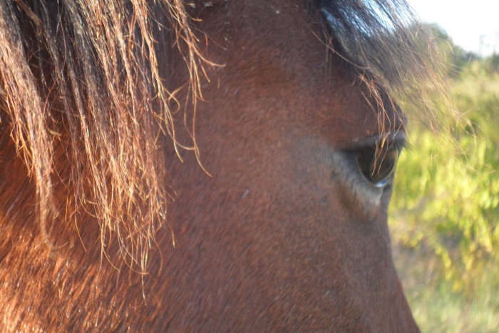 Photo de profil de frondeuretmoi