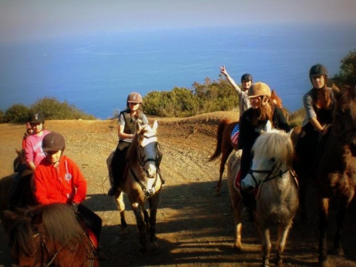 Photo de profil de guismo83