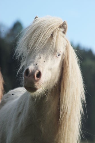 Photo de profil de baira