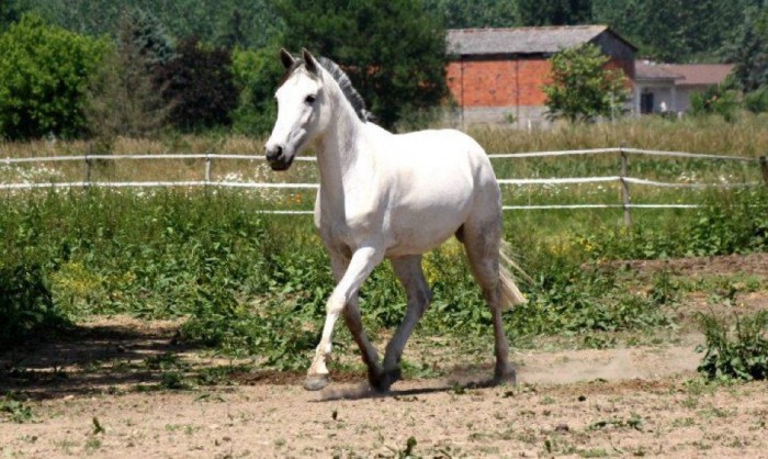 Photo de profil de marine1998