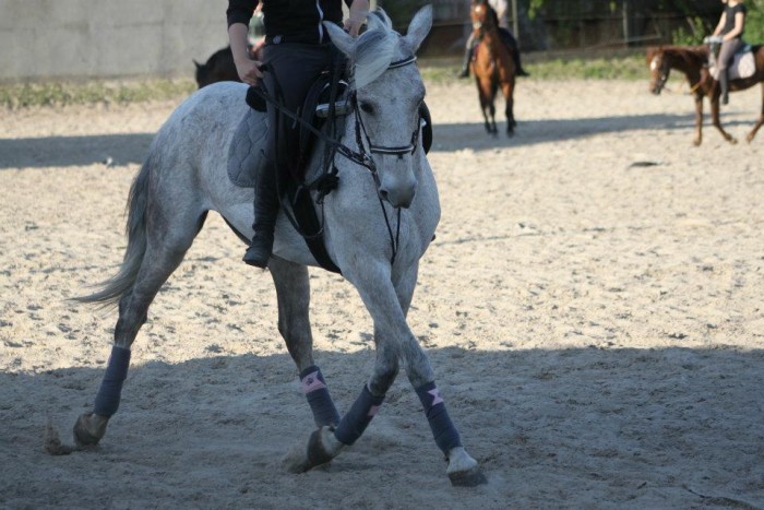 Photo de profil de lucie.g