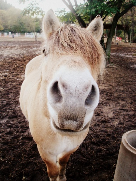 Photo de profil de angelstar