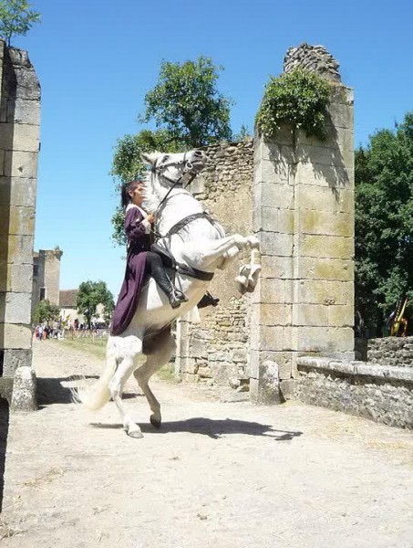 Photo de profil de rumbaroi