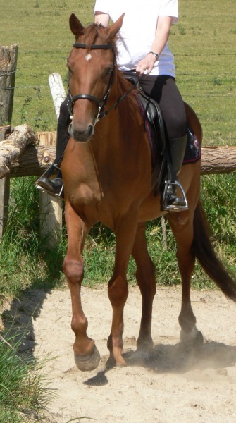 Photo de profil de rialto