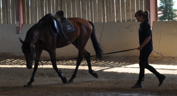 Photo de profil de jessieranal